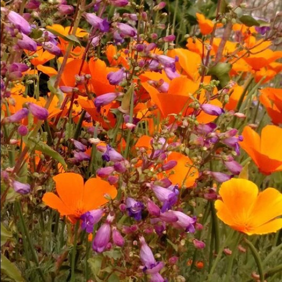 Meet your Posher, Janine - Picture 5 of 14